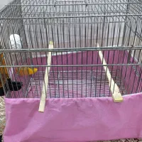 قفس پرنده سالم