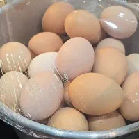 تخم مرغ خانگی