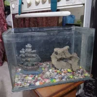 آکواریوم فروشی|ماهی|قزوین, |دیوار