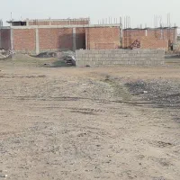 زمین نارجوئیه (فوری)