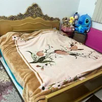 مبل سلطنتی ۸ نفره در حد نو با دروار و تخت دو نفره|مبلمان خانگی و میز عسلی|گلبهار, شهر جدید گلبهار|دیوار