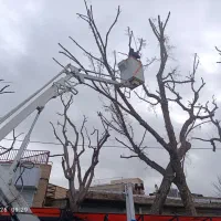 خدمات فضای سبز طراحی ،مشاوره ،اجرا