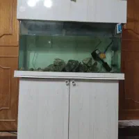 اکواریم یک متری