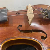 ویالون ۴/۴|ویولن|شیراز, شهرک گلستان|دیوار