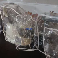 ۸تا کاور|سایر لوازم برقی|مراغه, |دیوار