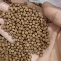 میکس دل و غذا بیومار ماهی گوشت خوار و گیاهخوارکوی|ماهی|مشهد, بلال|دیوار