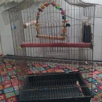 قفس پرنده طوطی تاشو|لوازم جانبی حیوانات|تهران, شهرک ولیعصر شمالی|دیوار