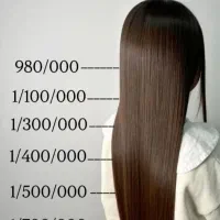 میکاپ شنیون زلف محلی|خدمات آرایشگری و زیبایی|صدرا-فارس, فاز ۱|دیوار