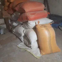 ۱۰ کیسه کپک برنج هاشمی