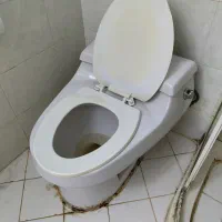 توالت فرنگی