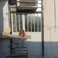 درب ورودی خانه  تکی و جفت و پنجره