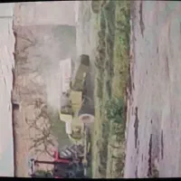 یونجه کاملا خشک و بدون علف