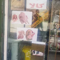 سوپر گوشت و مرغ محمودی