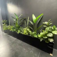 درخت زینتی مدرن فلاور باکس (بنجامین ابلغ)