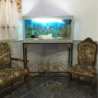 اکواریوم