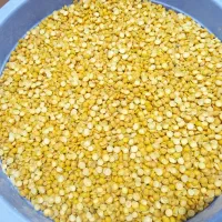 لپه آذرشهر،برنج هندی و پاکستانی زیر قیمت
