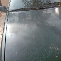 آردی مدل 83سرته پلمپ