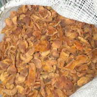 برگ زردآلوآفتابی  امسال|خوردنی و آشامیدنی|مشهد, اروند|دیوار