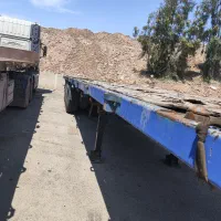 کفی ماموت 13.60