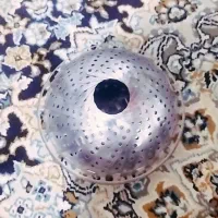 طلا پیدا شده