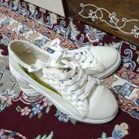 کفش|کیف، کفش، کمربند|مشگین شهر, |دیوار