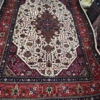 جفت۶متری کرم  مارک غنی‌زاده|فرش|مراغه, |دیوار