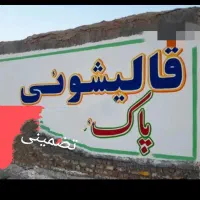 قالیشویی پیشرفته * پاک *100در صد تضمینی *