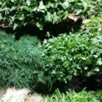 سبزی خورشت بهداشتی