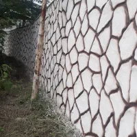 سیمانکاری طرح سنگ و تنه درخت|خدمات پیشه و مهارت|املش, |دیوار