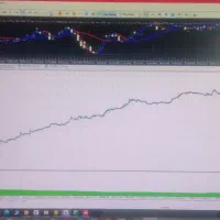 پارتنر و همکار در جهت تکمیل اکسپرت