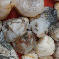 سنگ|کلکسیون و سرگرمی|خوی, |دیوار