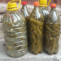 خیارشورمحلی تردوخوشمزه|خوردنی و آشامیدنی|تربت‌حیدریه, بالا ولایت|دیوار