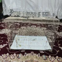 قفس