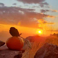 پکیج شوفاژدیواری بوتان پرلاپرو۲۸هزارمناسب تا۲۳۰متر|آبگرمکن، پکیج، شوفاژ|کرمانشاه, |دیوار