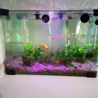 آکواریوم شیشه خم با کلیه امکانات