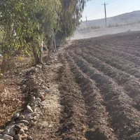 .زمین بر اصلی جاده ریکا