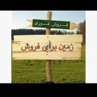 1000 متر زمین واقع در جاده کلات خیابان جاده بتن