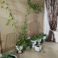 بهترین-لوکیشن-برای-مطب-ودفتر-کار