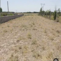 زمین-چعب-بیت-سخی