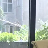 منشی