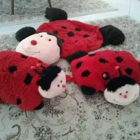 کفشدوزک|اسباب‌‌بازی|زنجان, |دیوار