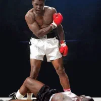 آموزش بوکس بصورت تخصصی