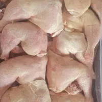 مرغ سینه ران گرم و منجمد|خوردنی و آشامیدنی|تهران, جوادیه|دیوار