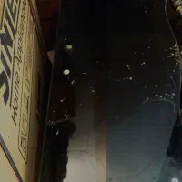 میز تلویزیون