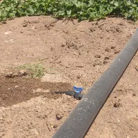 دوهزار متر زمین سندششدانگ آب برق گار پای زمین|فروش زمین و ملک کلنگی|اشتهارد, |دیوار