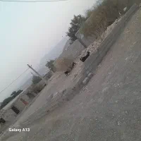 فروش زمین درروستای سلوبلم سندداریا معاوضه با خودرو|فروش زمین و ملک کلنگی|شمیل, |دیوار