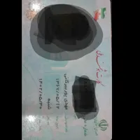 گمشده