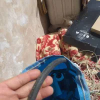 شلنگ کارواش بزرگ