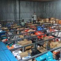 قفسه طوسی پل دار