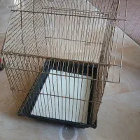 قفس پرند